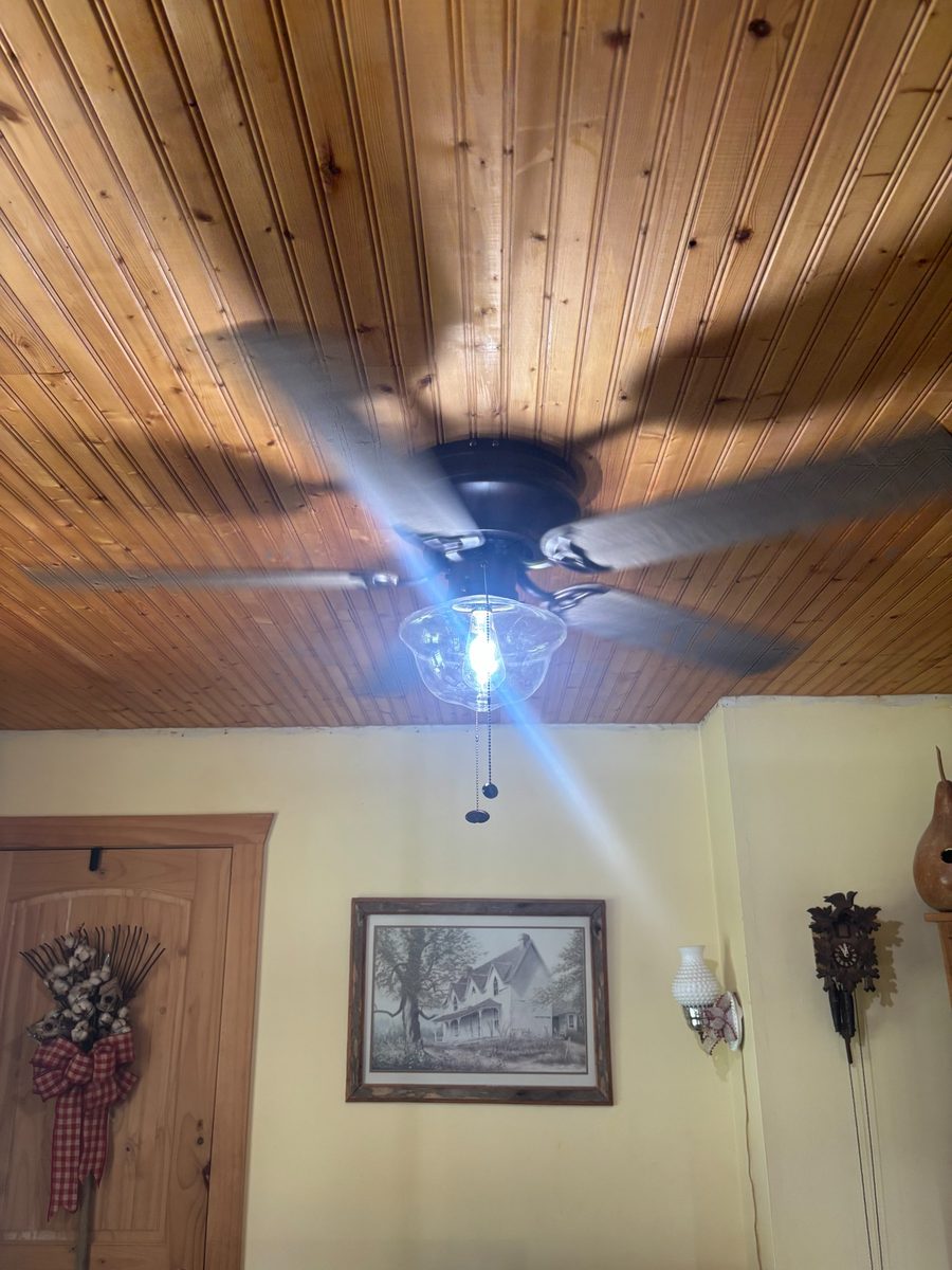 Ceiling fan installed on a wood ceiling.